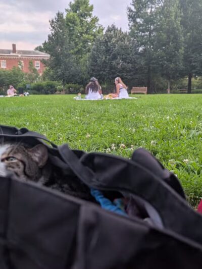 Mitchell Park - Washington,