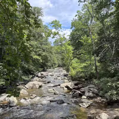Rock Creek Park - Washington,