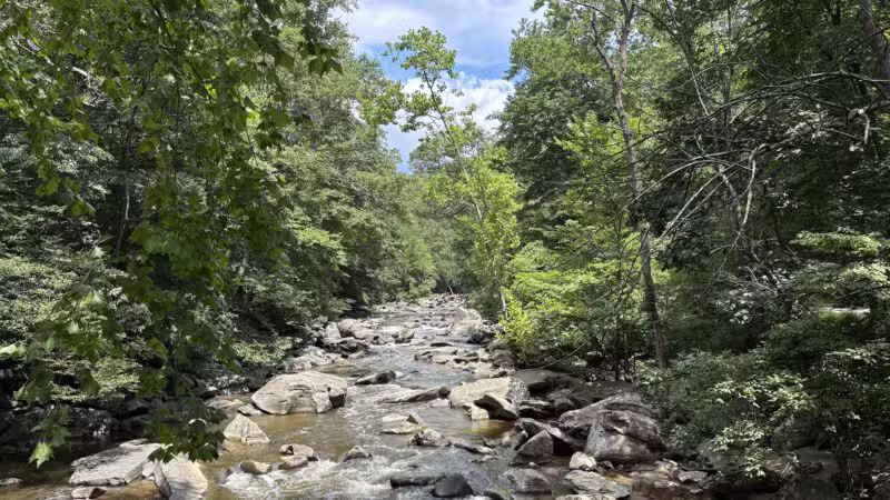 Rock Creek Park - Washington,