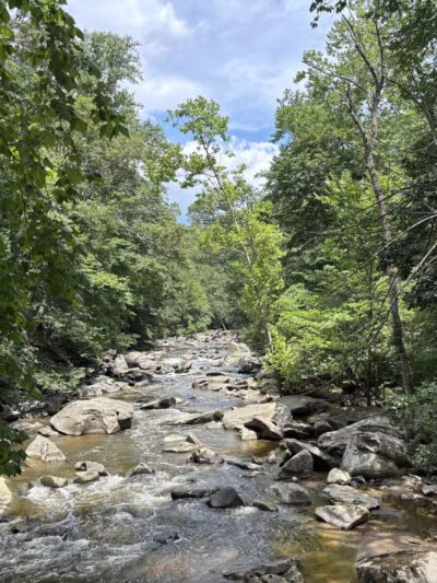 Rock Creek Park - Washington,