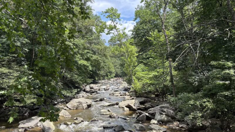 Rock Creek Park - Washington,