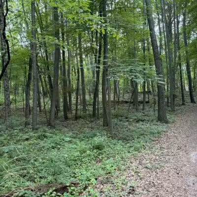 Stony Creek Dog Park - Washington, MI