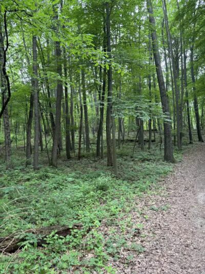 Stony Creek Dog Park - Washington, MI