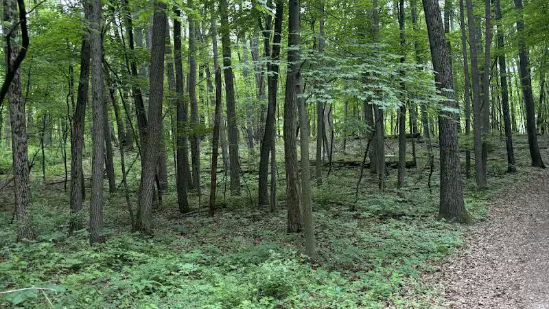 Stony Creek Dog Park - Washington, MI