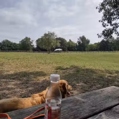 Stony Creek Dog Park - Washington, MI