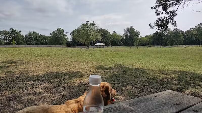 Stony Creek Dog Park - Washington, MI