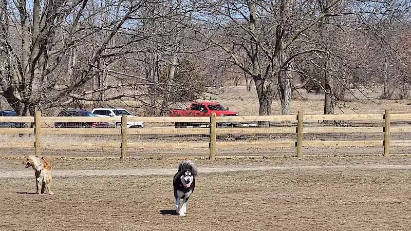 Stony Creek Dog Park - Washington, MI