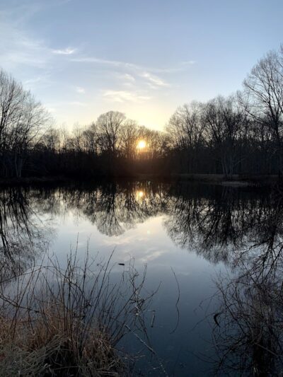 Stenger Farm Park - Waterford, CT