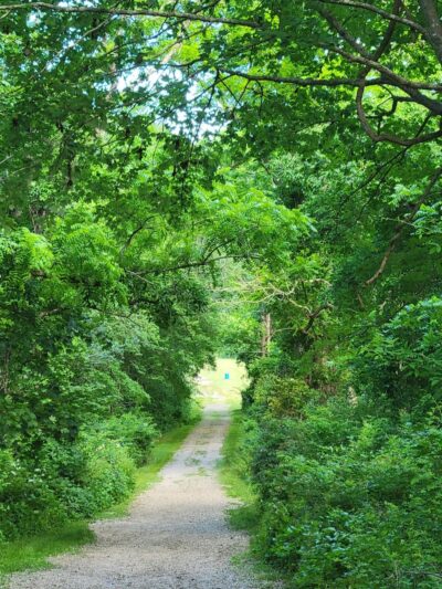 Stenger Farm Park - Waterford, CT