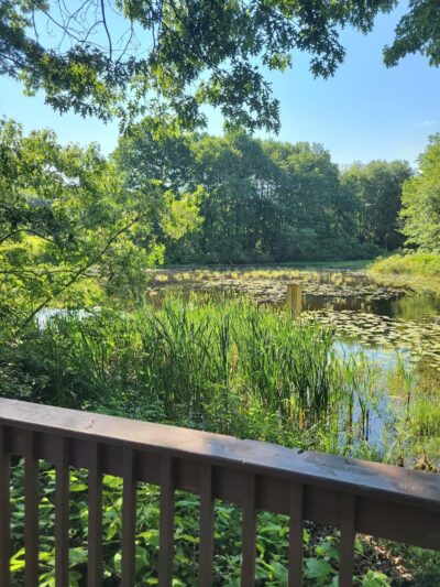 Stenger Farm Park - Waterford, CT