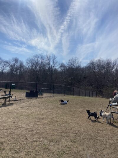 Stenger Farm Park - Waterford, CT