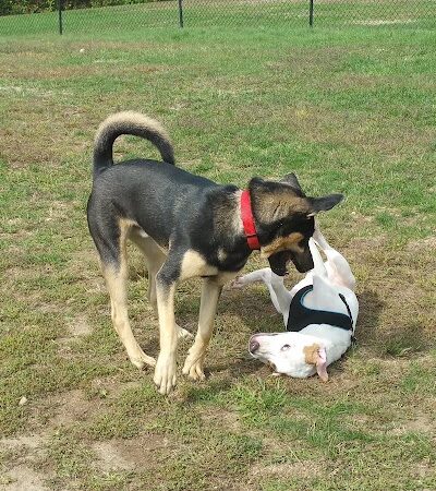 Stenger Farm Park - Waterford, CT