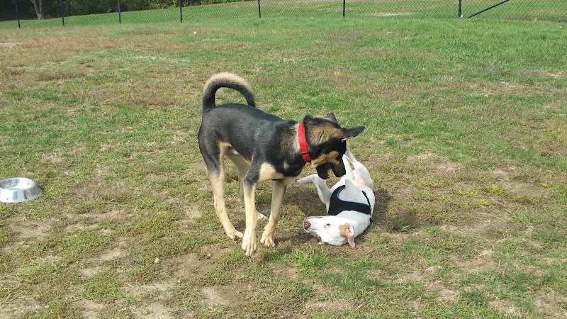 Stenger Farm Park - Waterford, CT