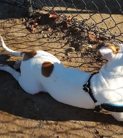 Stenger Farm Park - Waterford, CT