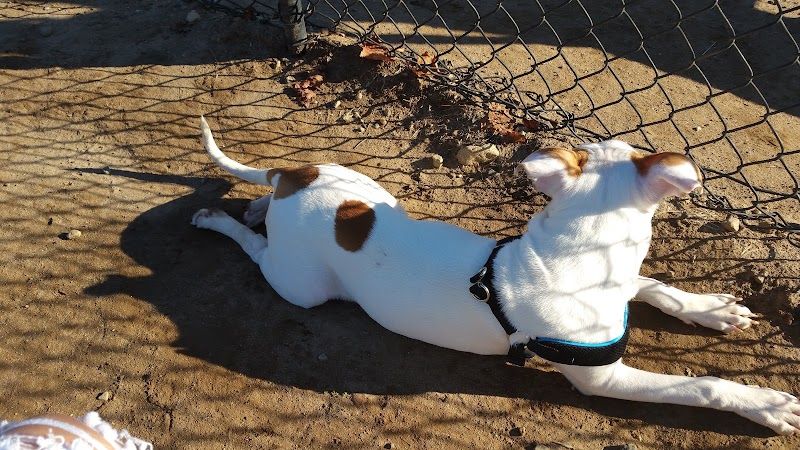 Stenger Farm Park - Waterford, CT