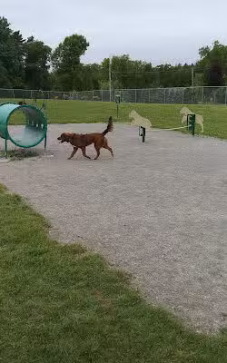 Scentral Dog Park - Waterford, NY
