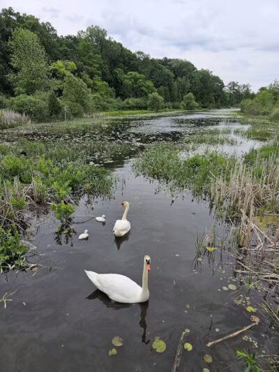 Dodge #4 State Park - Waterford Township, MI