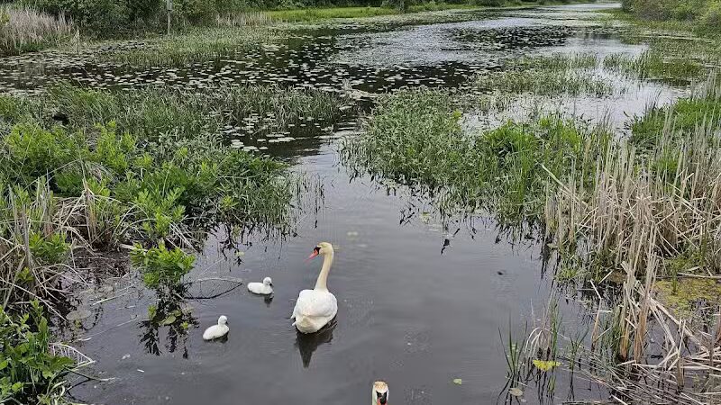 Dodge #4 State Park - Waterford Township, MI