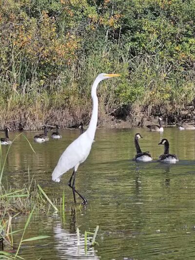 Dodge #4 State Park - Waterford Township, MI