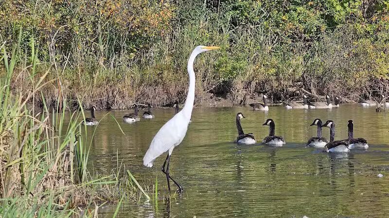 Dodge #4 State Park - Waterford Township, MI
