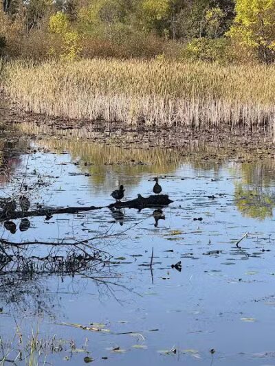 Dodge Park Beach - Waterford Township,