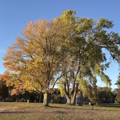 Dodge Park Beach - Waterford Township,