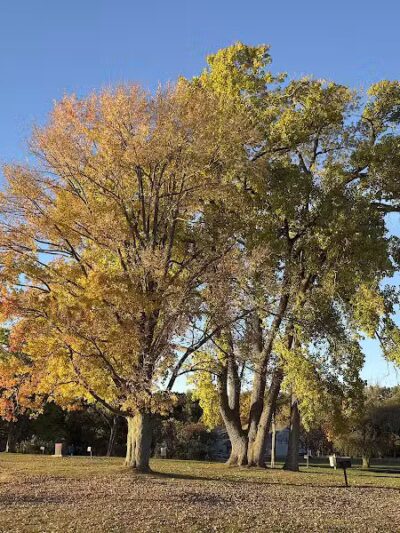 Dodge Park Beach - Waterford Township,