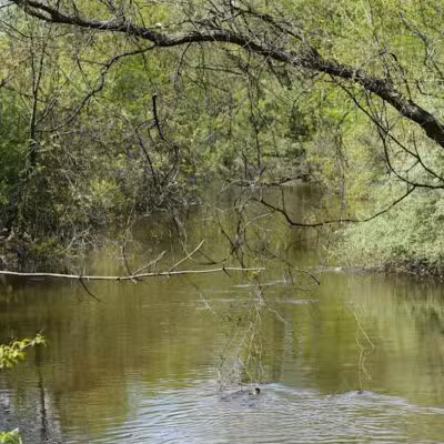 Drayton Plains Nature Center - Waterford Township,
