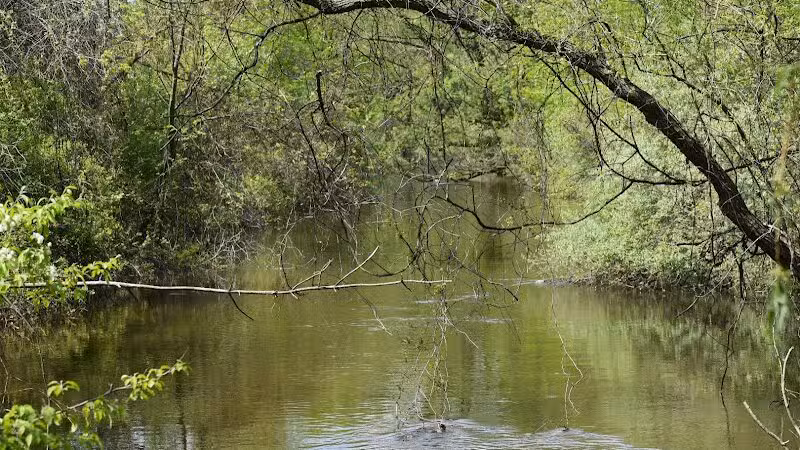 Drayton Plains Nature Center - Waterford Township,