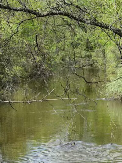Drayton Plains Nature Center - Waterford Township,