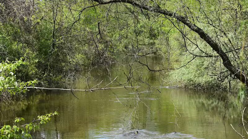 Drayton Plains Nature Center - Waterford Township,