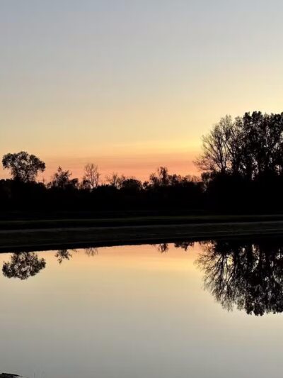Drayton Plains Nature Center - Waterford Township,