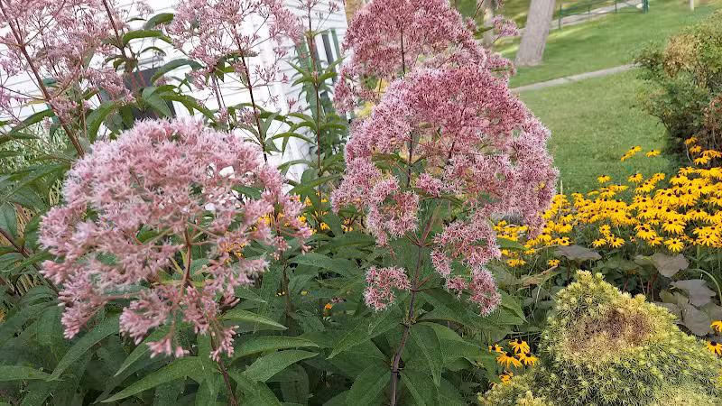 Drayton Plains Nature Center - Waterford Township,