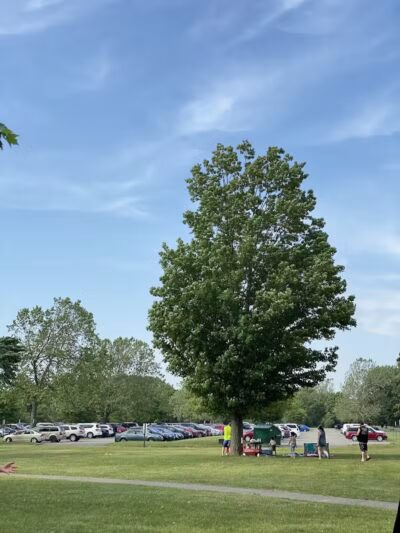 East Shelter - Waterford Township,