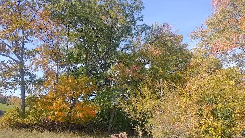 Elizabeth Lake Woods Park - Waterford Township,