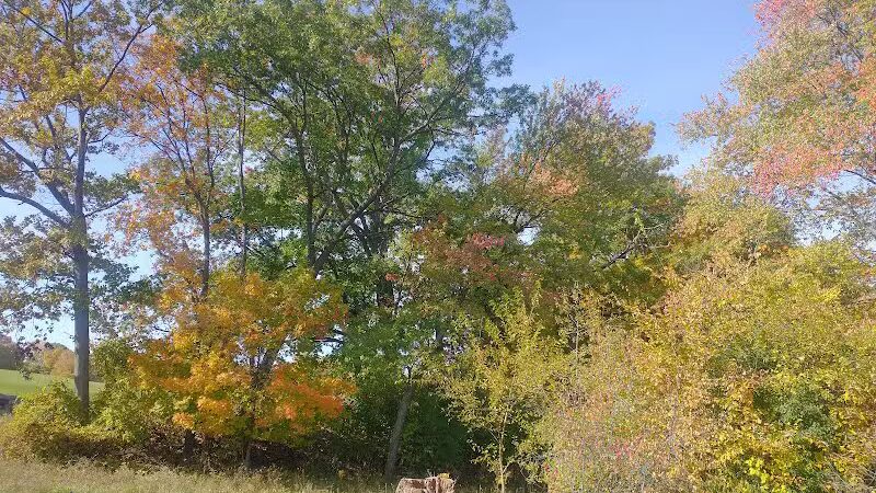 Elizabeth Lake Woods Park - Waterford Township,