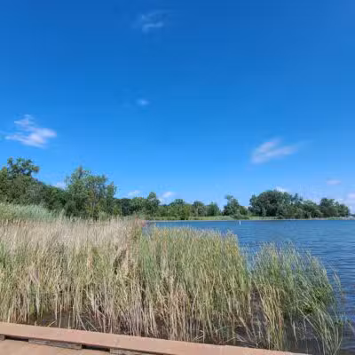 Elizabeth Lake Woods Park - Waterford Township,