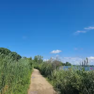 Elizabeth Lake Woods Park - Waterford Township,