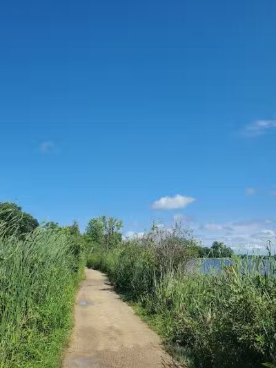 Elizabeth Lake Woods Park - Waterford Township,
