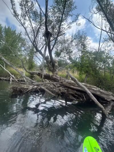 Elizabeth Lake Woods Park - Waterford Township,