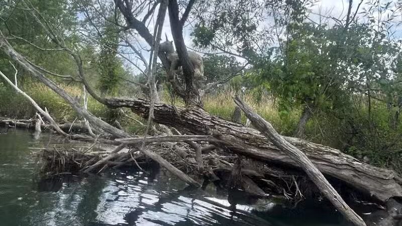 Elizabeth Lake Woods Park - Waterford Township,
