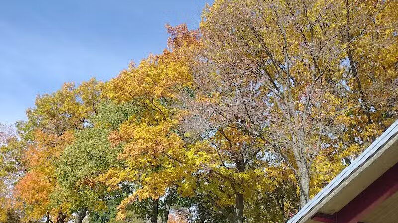 Elizabeth Lake Woods Park - Waterford Township,