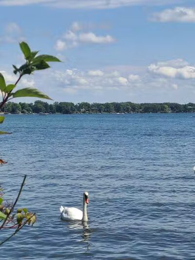 Elizabeth Lake Woods Park - Waterford Township,