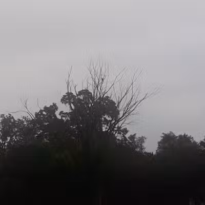 Herrington Park - Waterford Township,