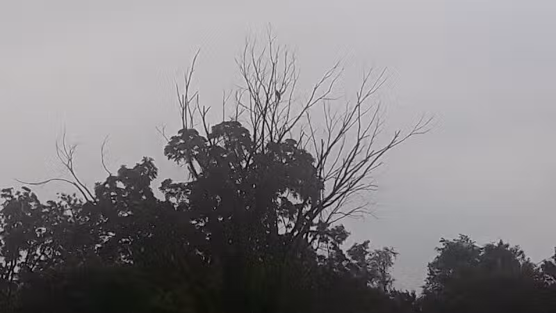 Herrington Park - Waterford Township,