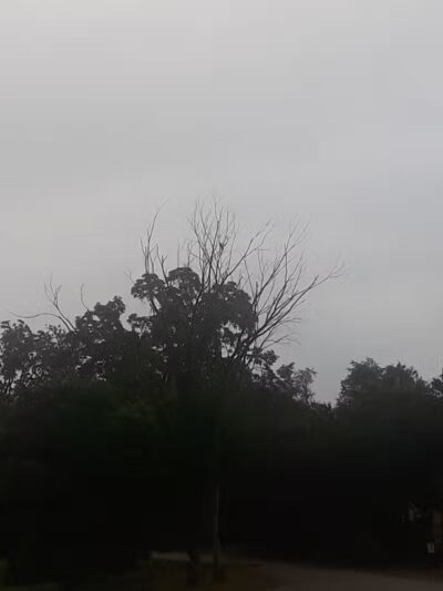 Herrington Park - Waterford Township,