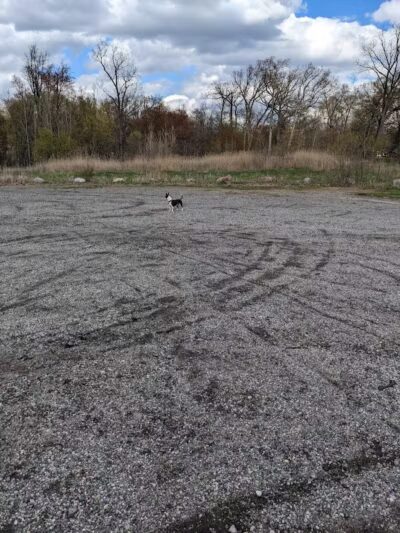 Herrington Park - Waterford Township,