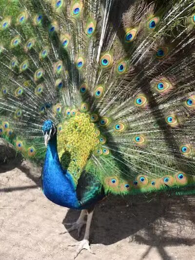 Hess-Hathaway Park - Waterford Township,