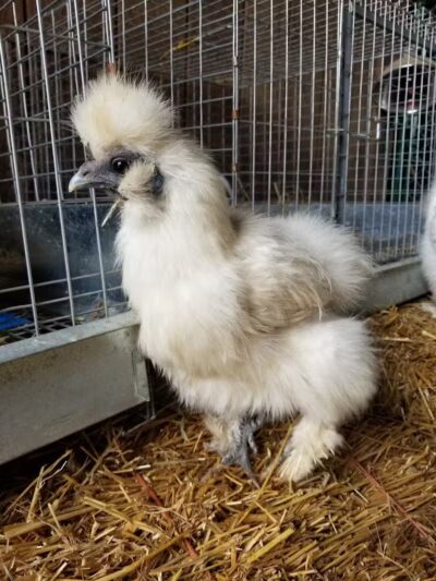 Hess-Hathaway Park - Waterford Township,