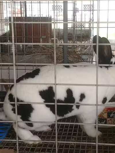 Hess-Hathaway Park - Waterford Township,